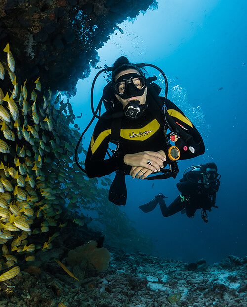 Discover Scuba Diving In The Red Sea